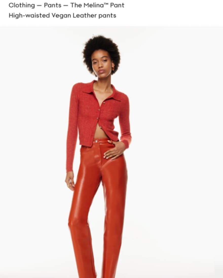Aritiza Melina Leather Pant  - Image 1