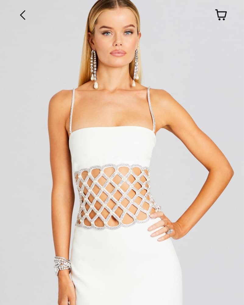 Retrofete DUPE- Custom Made Gown - Image 2