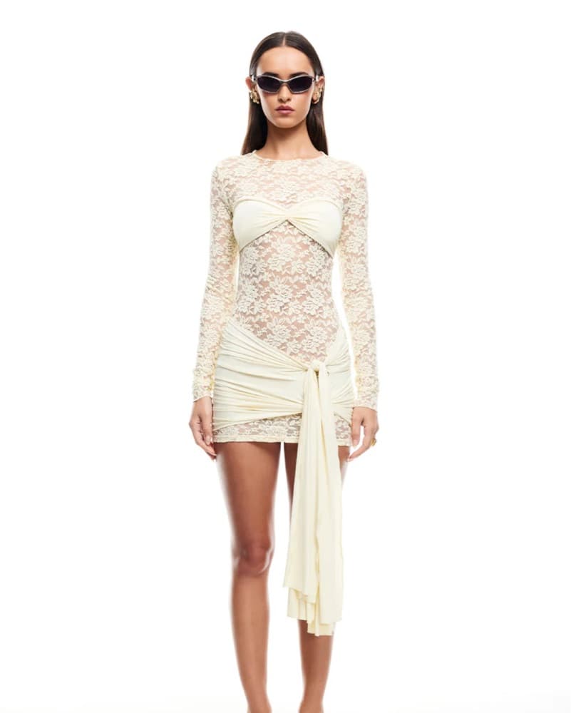 Lioness Lace Mini Dress - Image 1