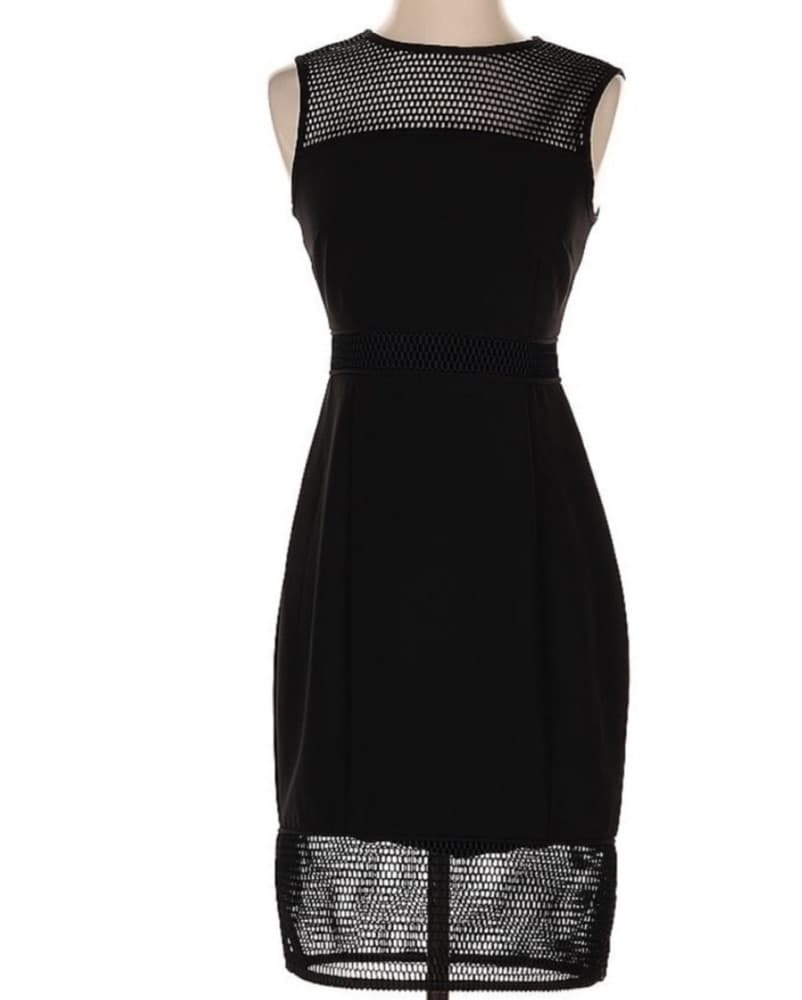 Sleek and Sophisticated Black Mesh Dress - Image 1