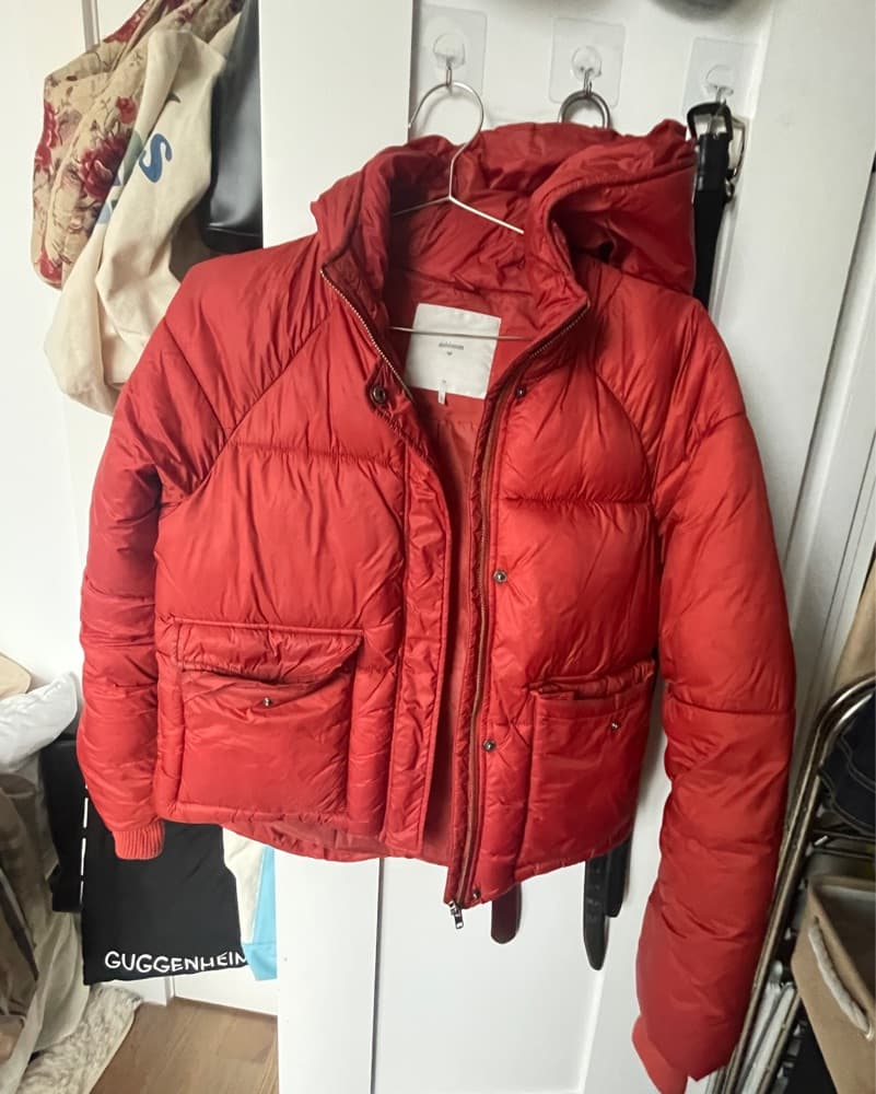 Red Puffer - Image 2