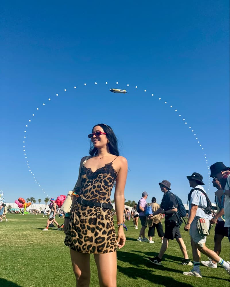 Mini Cheetah-print Dress - Image 3