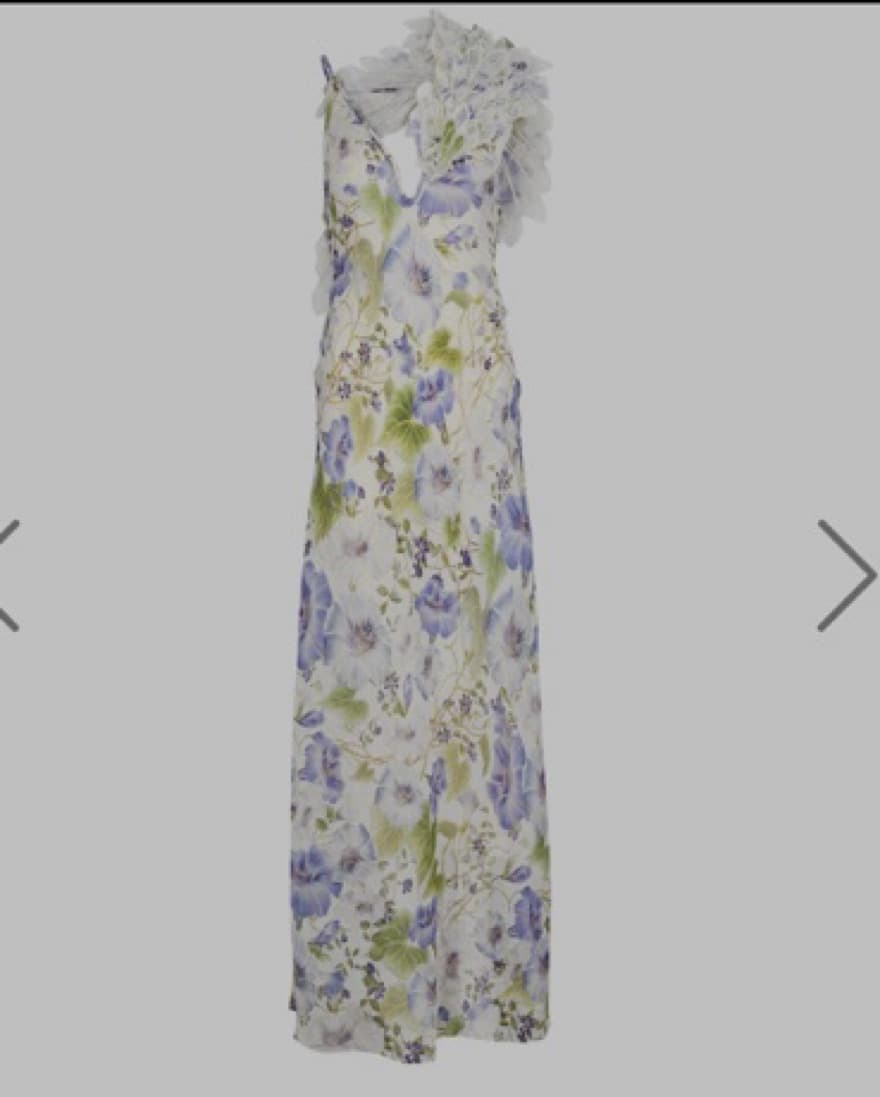 Zimmermann Natura Feather Slip Gown - Image 2