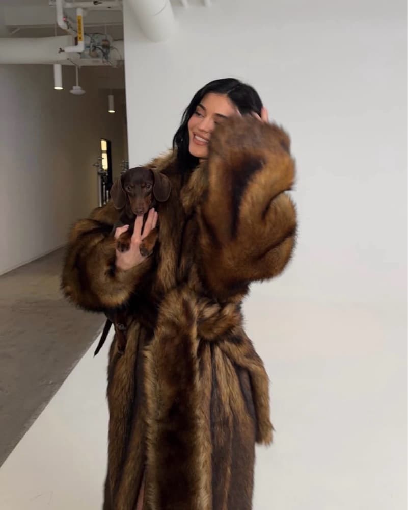 Khy Brown Fur Coat - Image 1