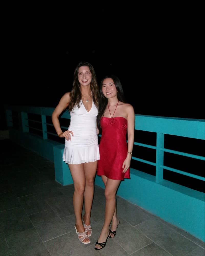 Revolve Arie Mini Dress - Image 2