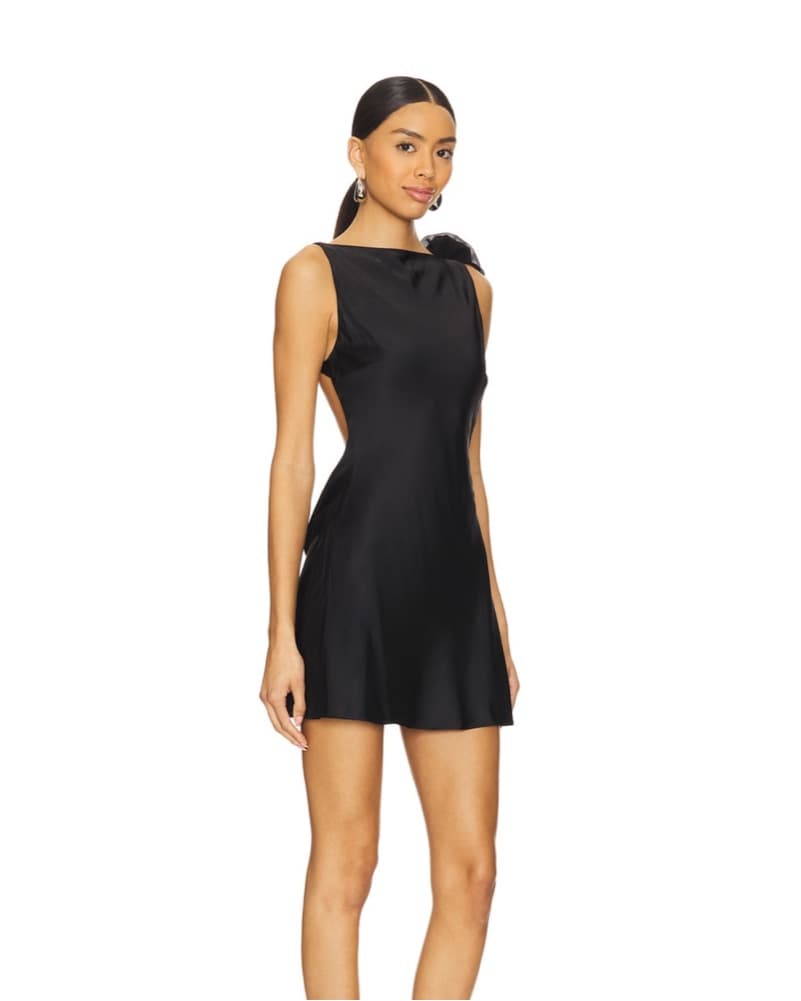 Lovers And Friends Mariam Mini Dress - Image 3