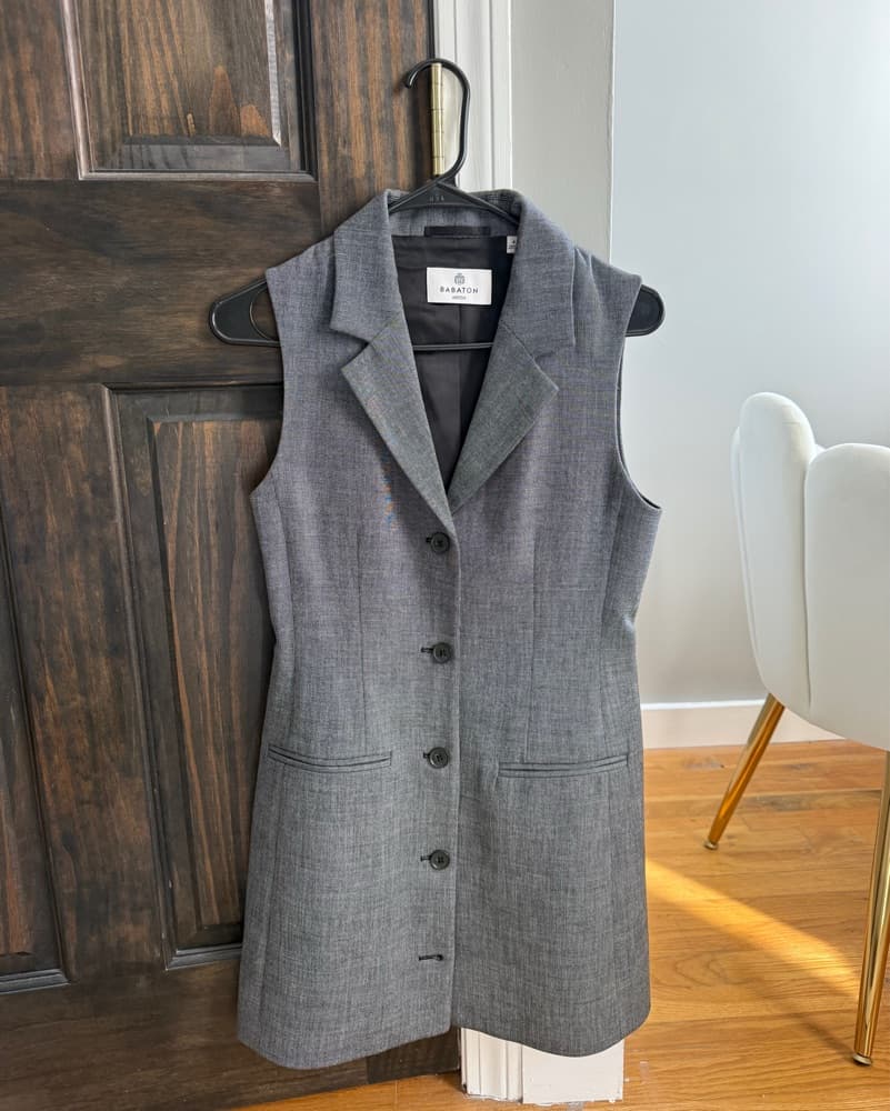 Aritiza Babaton Gray Button-Down Dress - Image 3