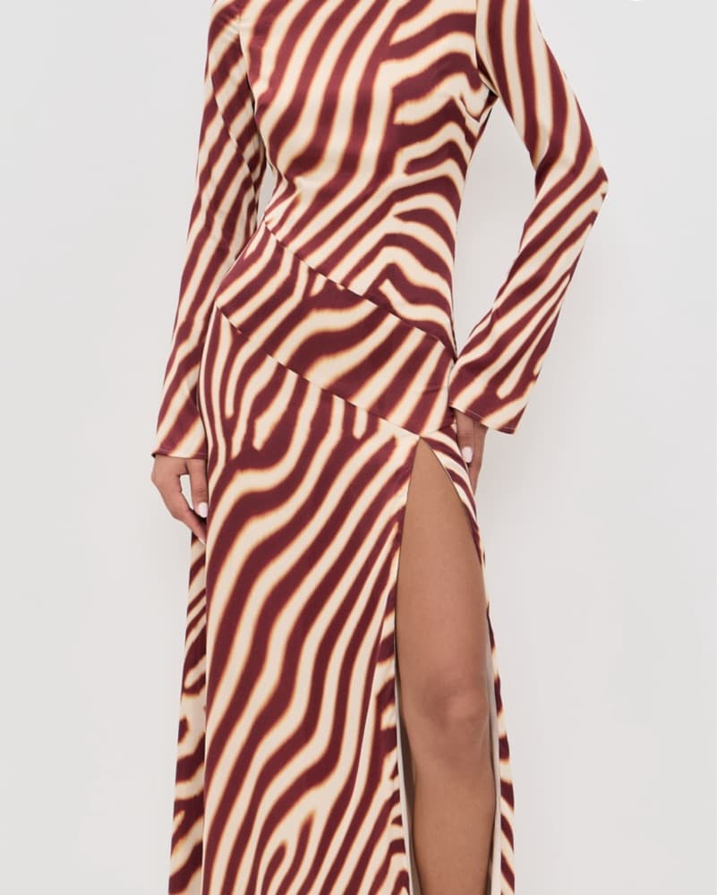 Striking Zebra Print Maxi Dress - Image 2