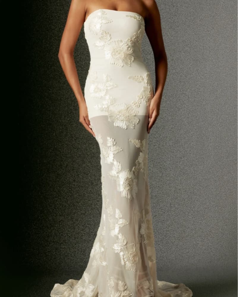 Bridal Dresss - Image 1
