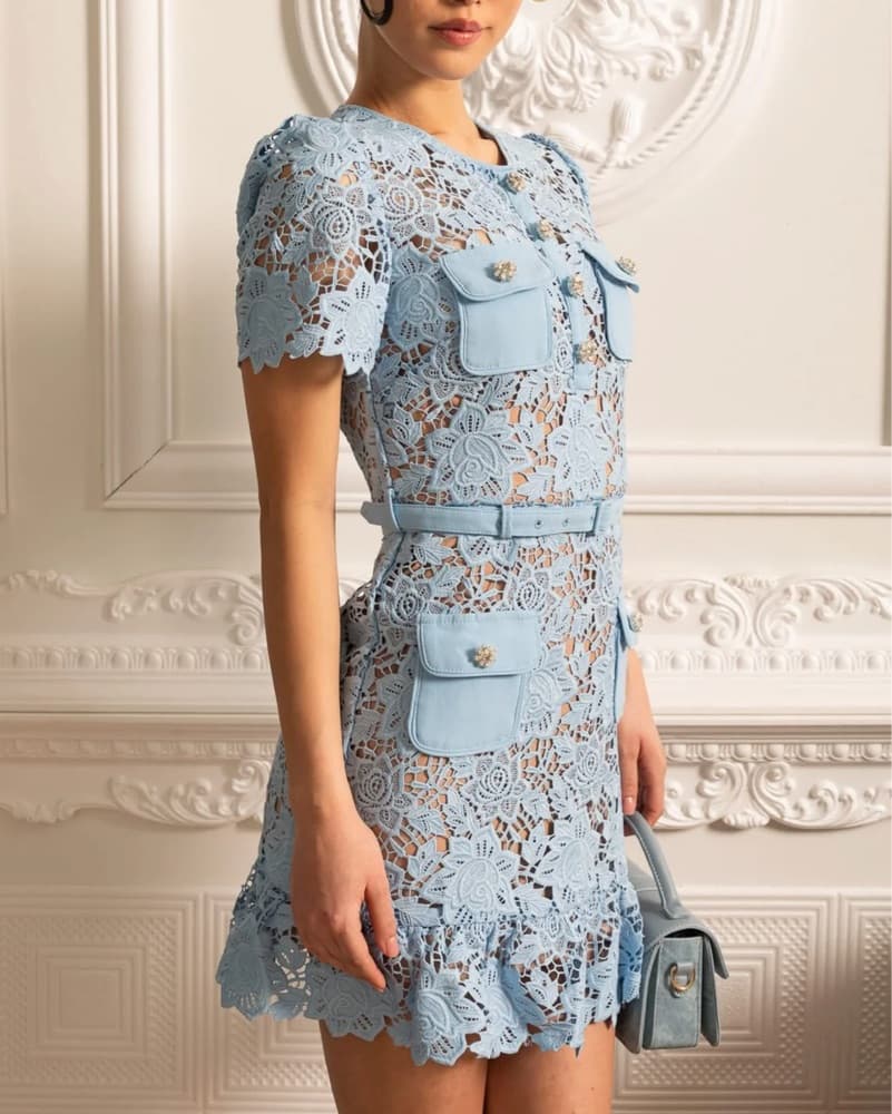 Elegant Lace Embroidered Mini Dress - Image 3
