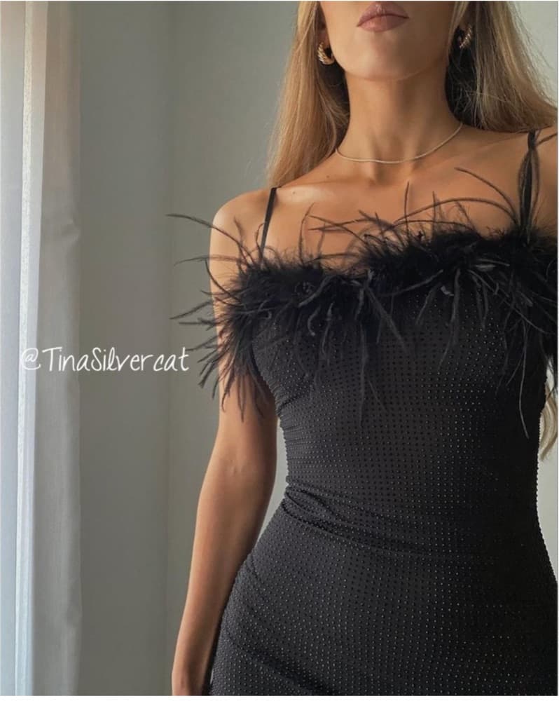 Zara Rhinestone Feather Dress - Image 4