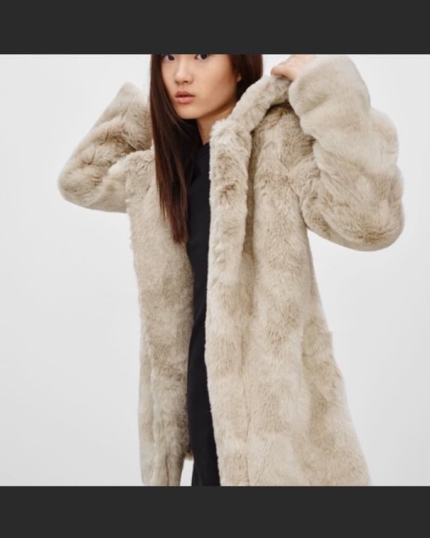 $350 Aritzia Faux Fur Long Coat - Image 2