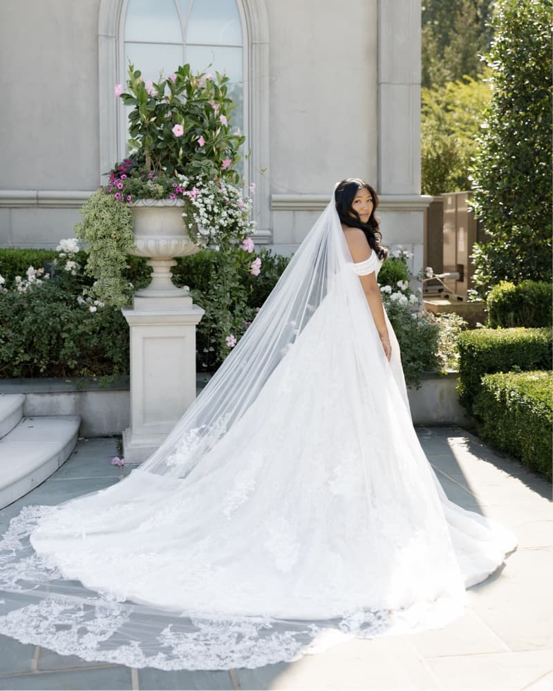 Veil - Image 3