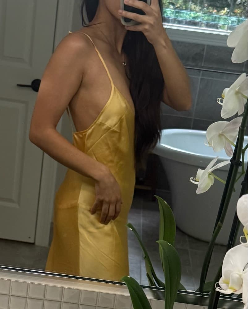 Nari Silk Dress - Image 6