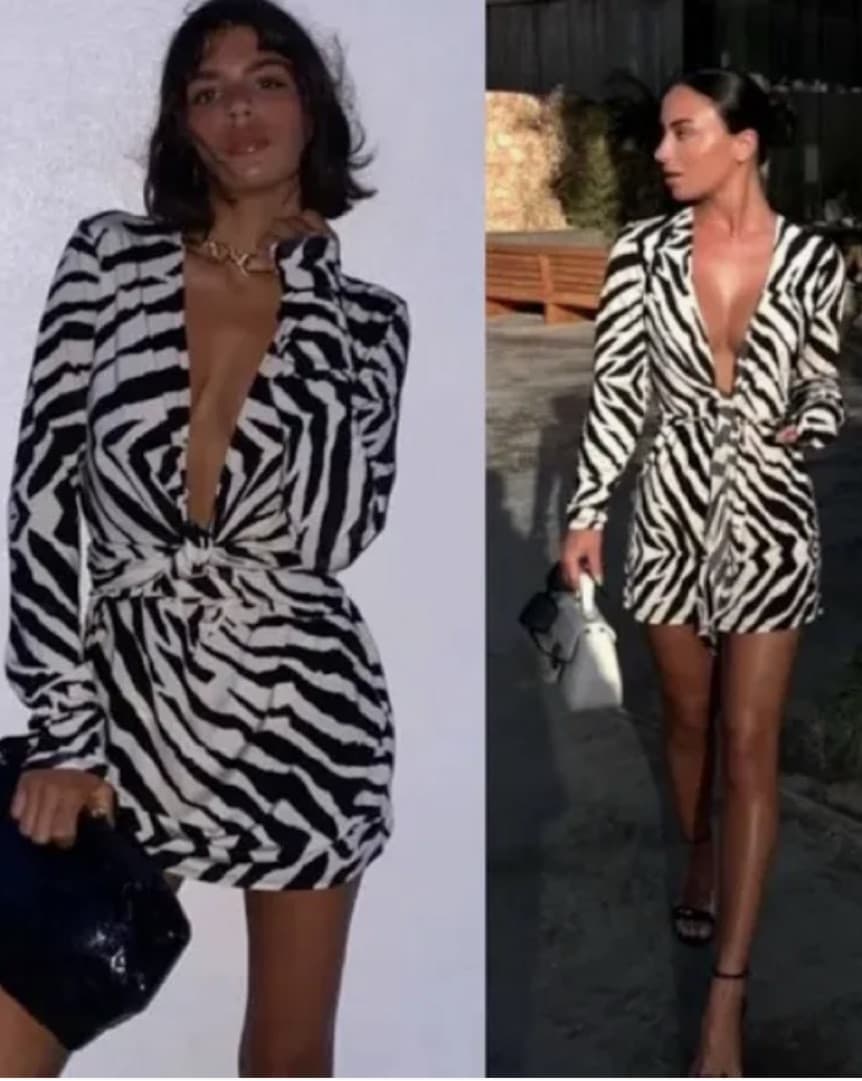 Rat and Boa Zebra Dress  - Image 1
