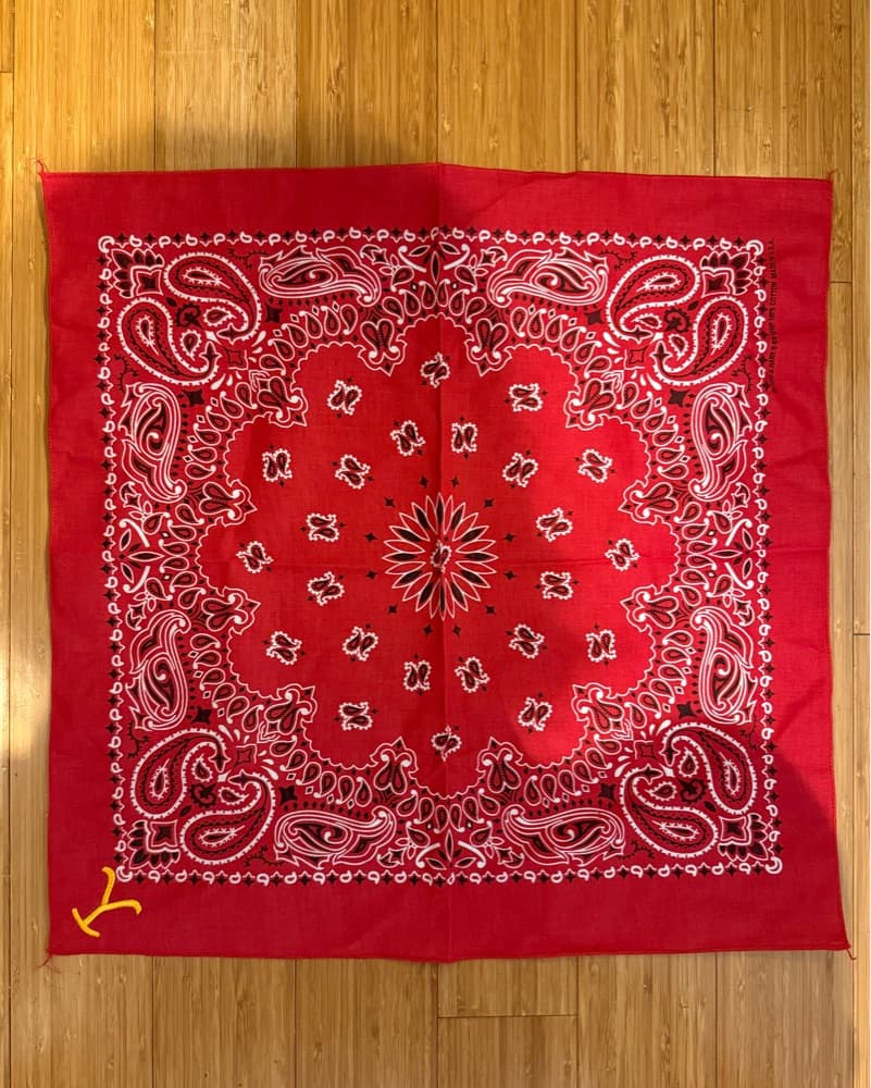 Yellowstone Red Paisley Bandana - Image 2
