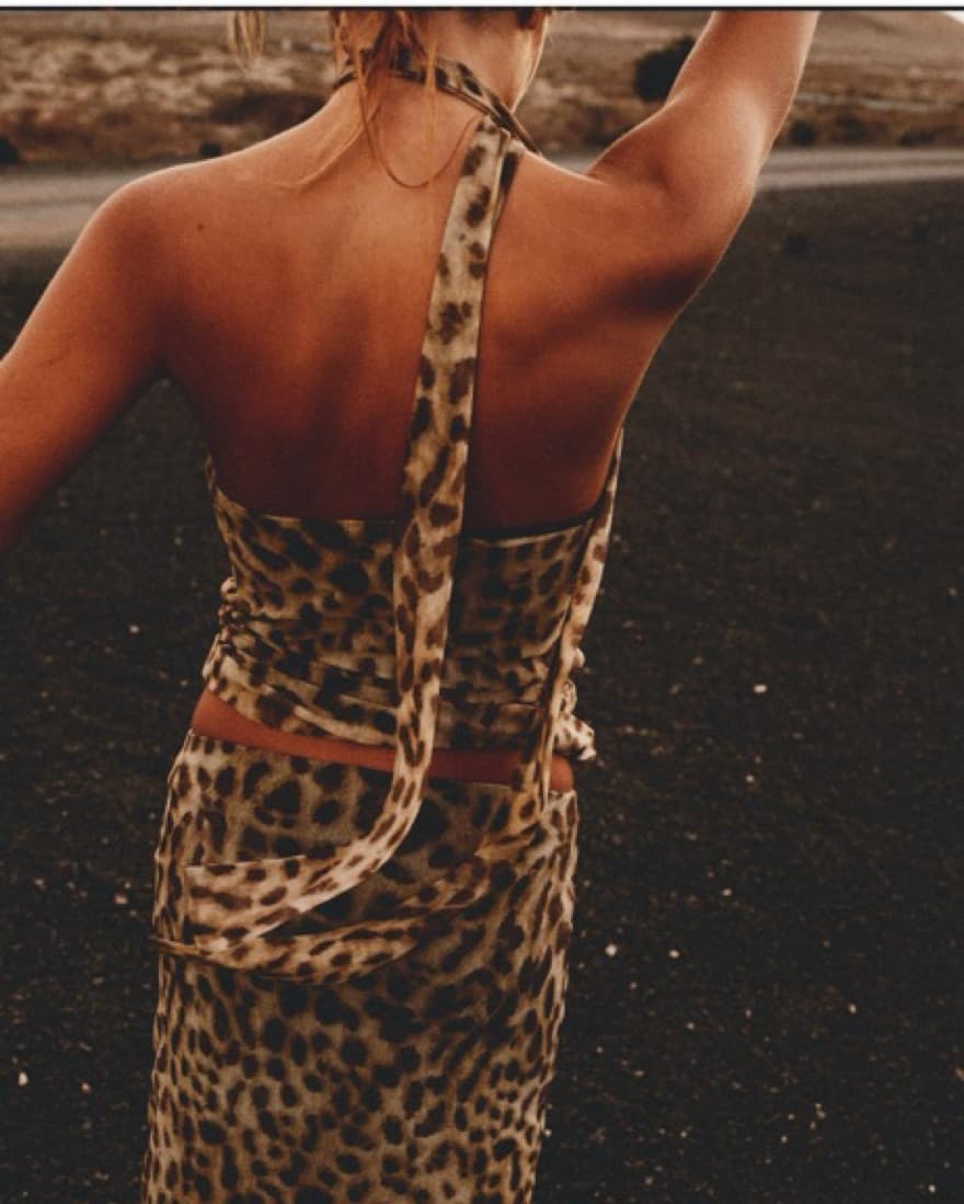 Zara Cheetah Skirt + Top - Image 6