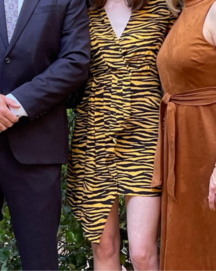 ALC Zebra Print Dress - Image 4