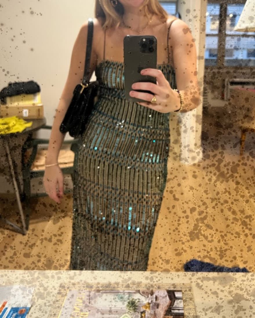 Alice+Olivia Maxi Sequined Dress (NWOT) - Image 1