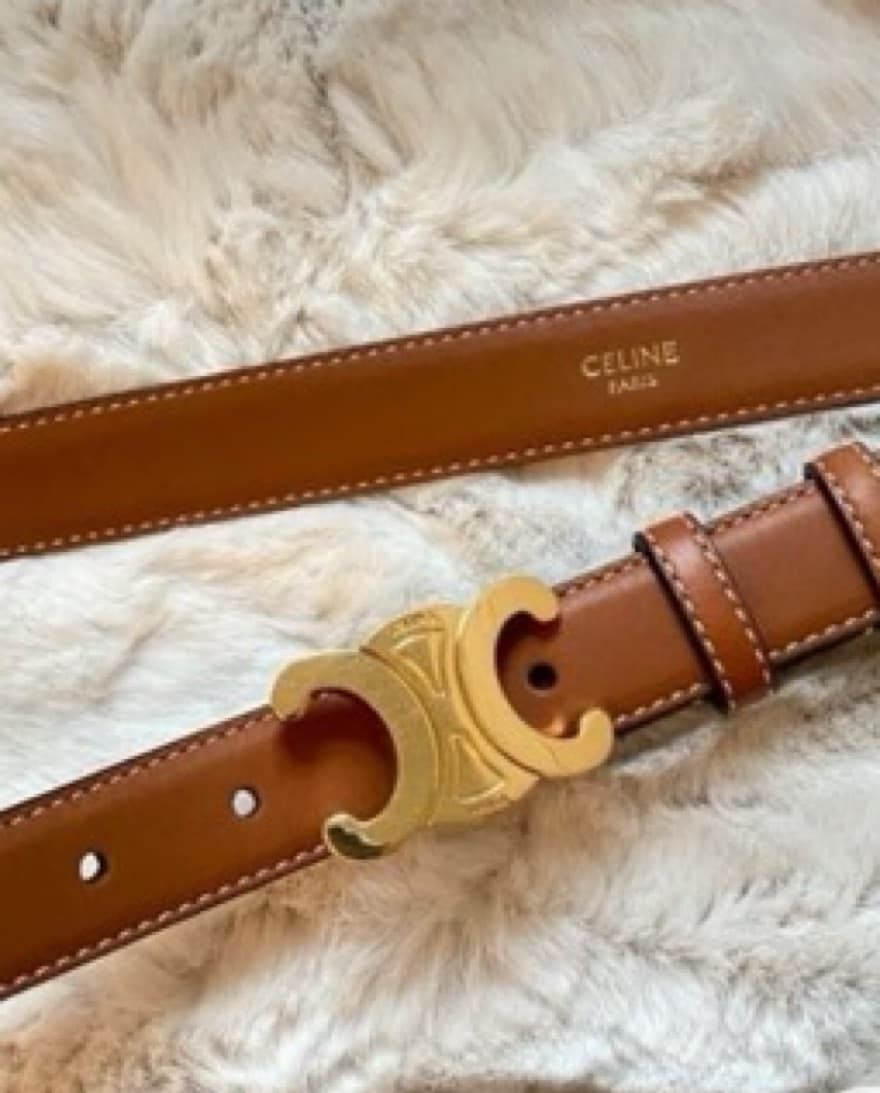 Celine Medium Triomphe Belt  - Image 2