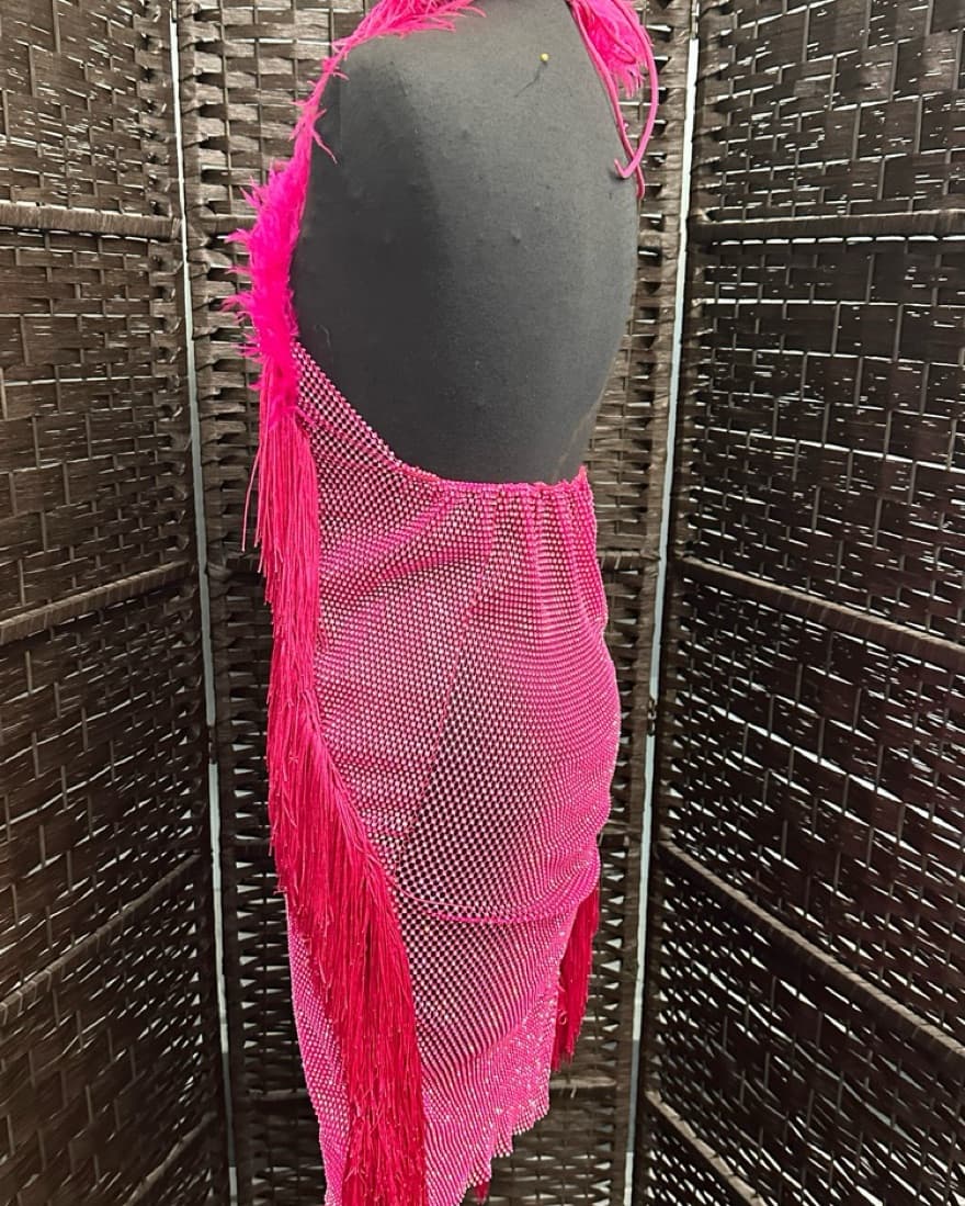 Feathered Dress - Image 4