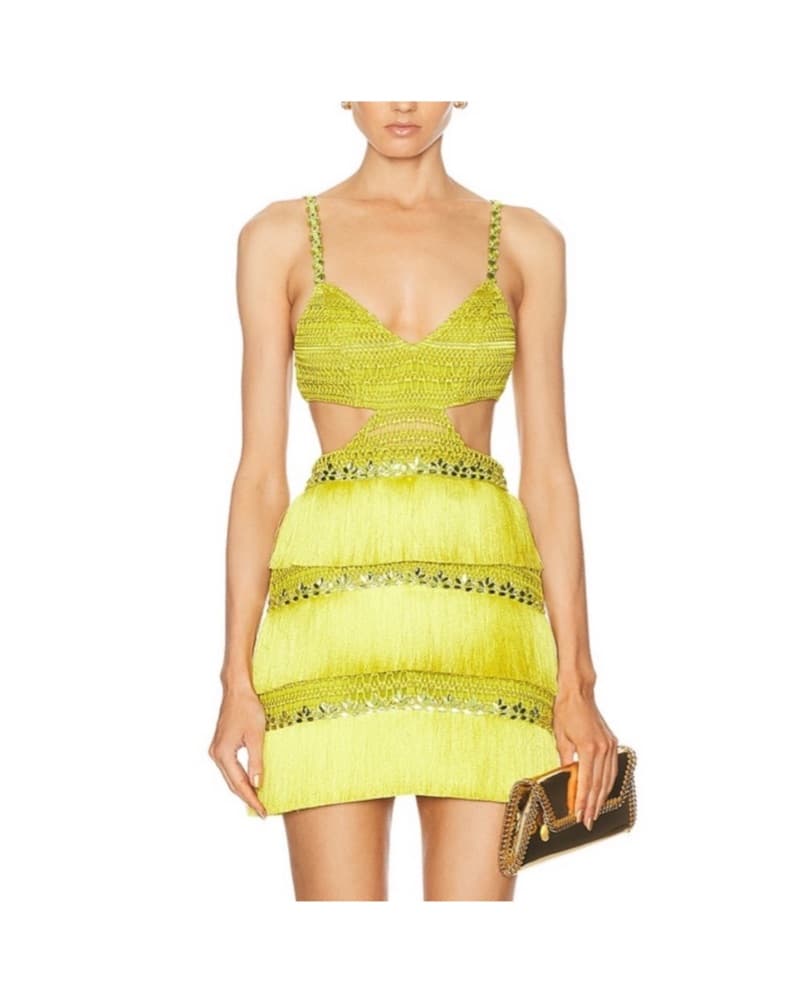 PatBo Hand Beaded Fringe Mini Dress  - Image 4