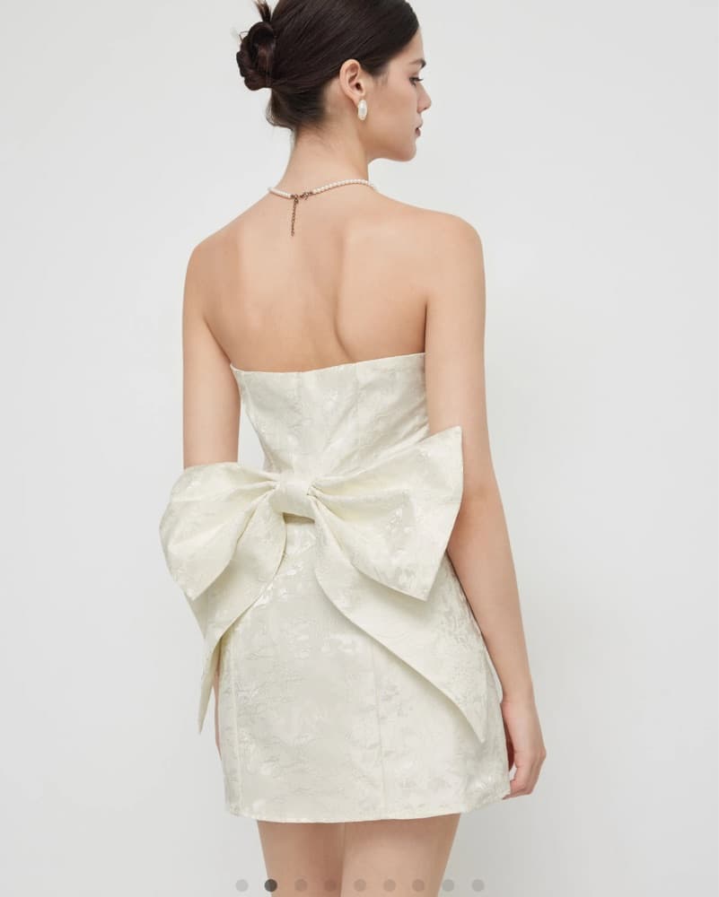 JACQUARD TUBE BOWKNOT MINI DRESS - Image 1