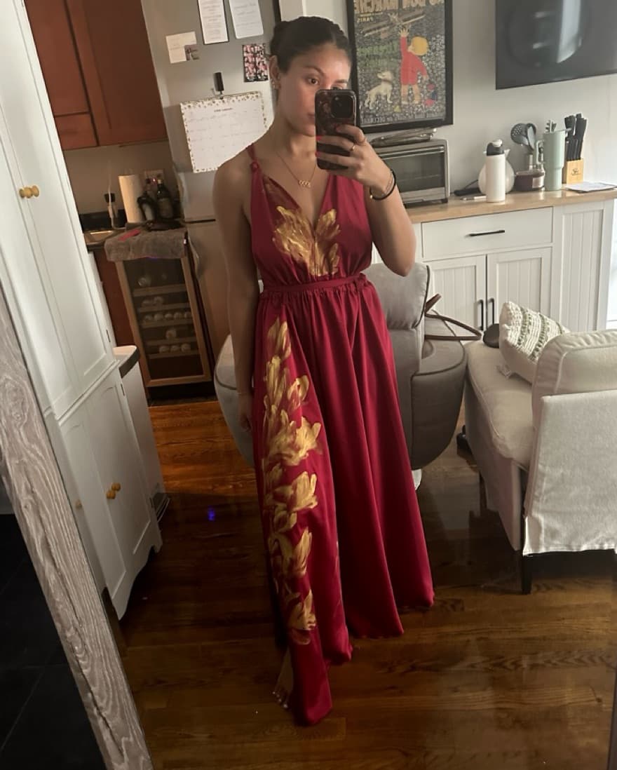 Hand painted Wine Red Silk Gown - Image 1