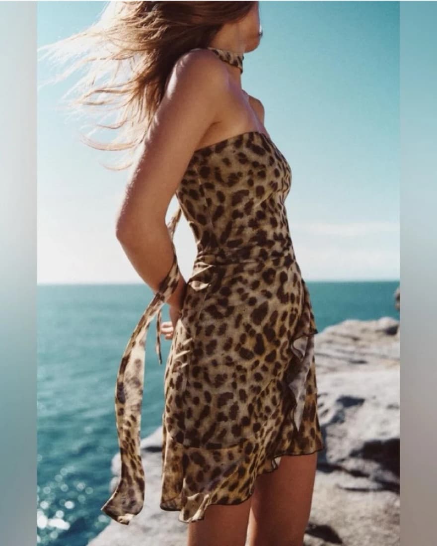 Zara Leopard Animal Print Tulle Slip Dre - Image 2