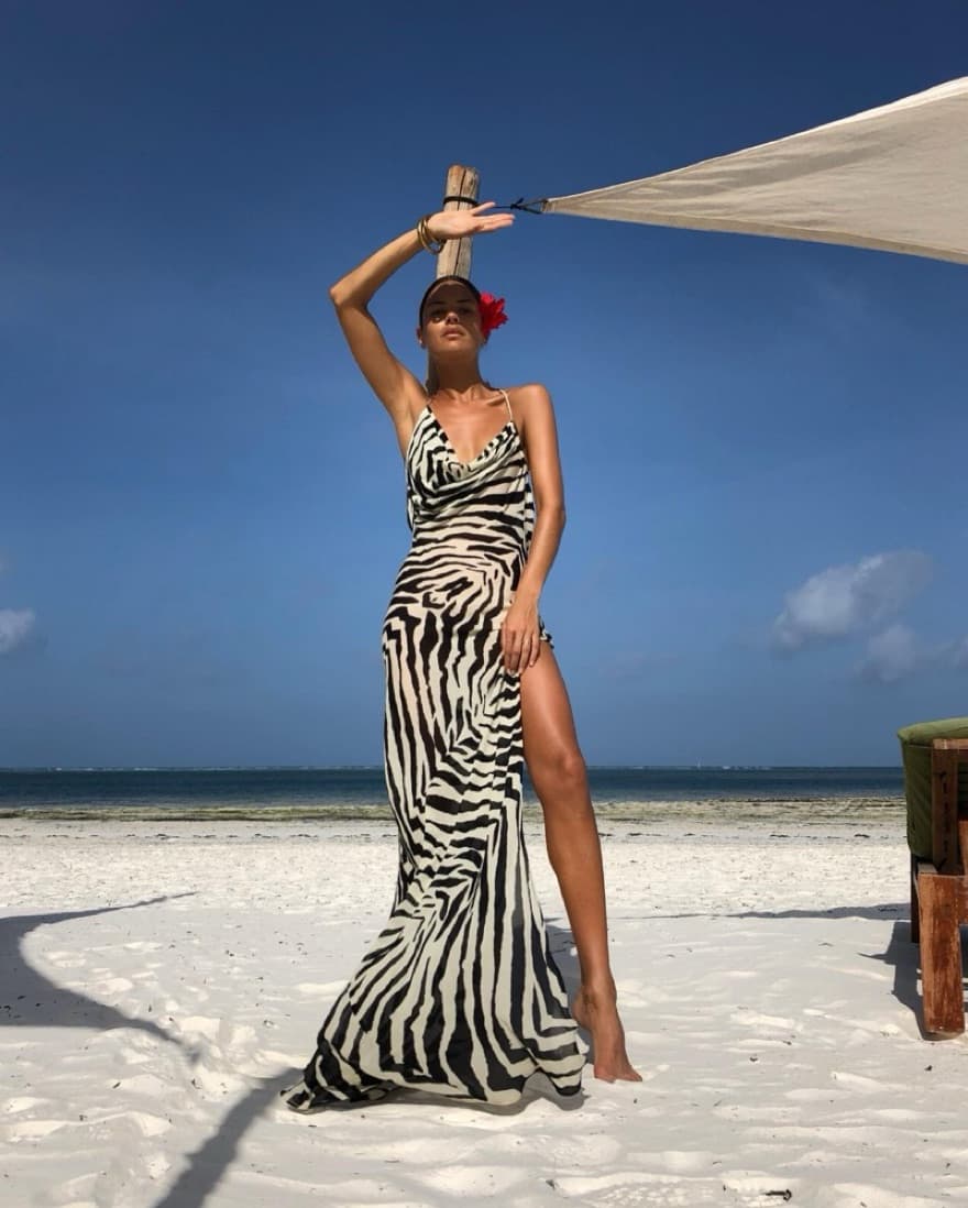RAT & BOA Zinnia Zebra Maxi Dress - Image 1