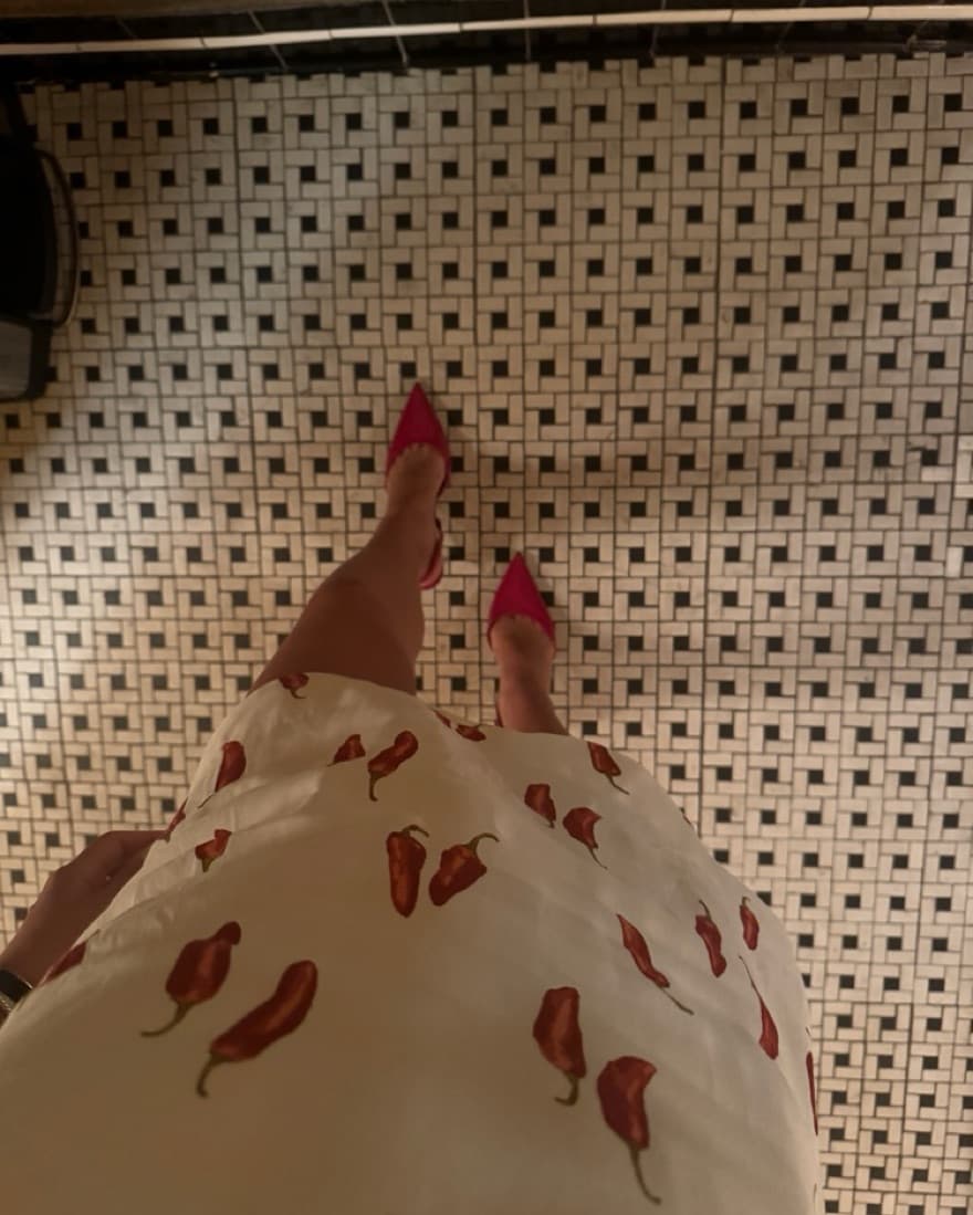 Chile Pepper Reformation Avielle Dress - Image 6