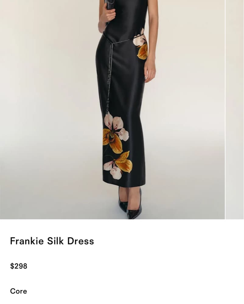 Frankie Silk dress - Image 2