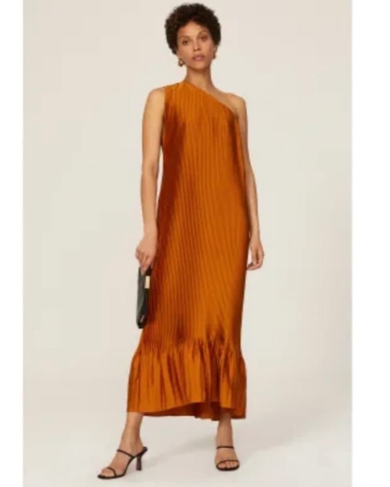 Burnt Orange Tome Dress - Image 3