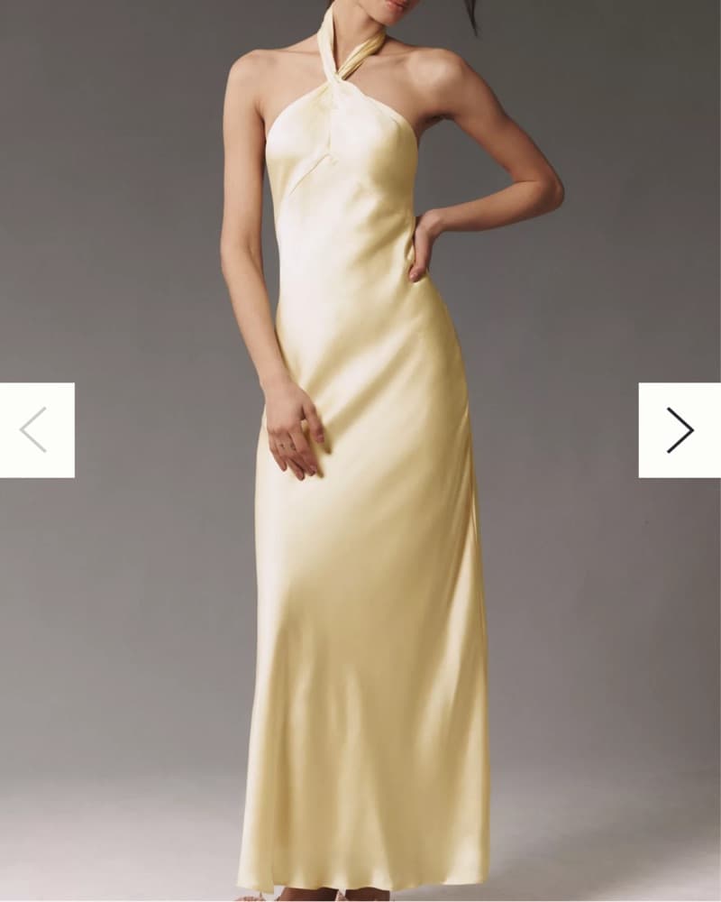 Bridesmaid/Wedding Guest Maxi Dress - Image 1