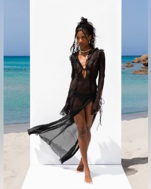 Rat And Boa Black Sheer Dress - Image 2