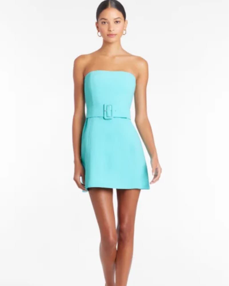 Amanda Uprichard Fae Dress - Image 1