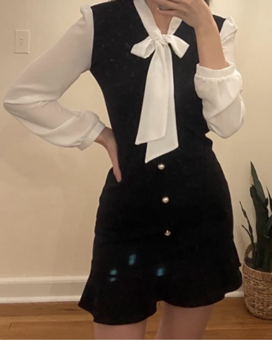 Preppy Bow Neck Dress - Image 1