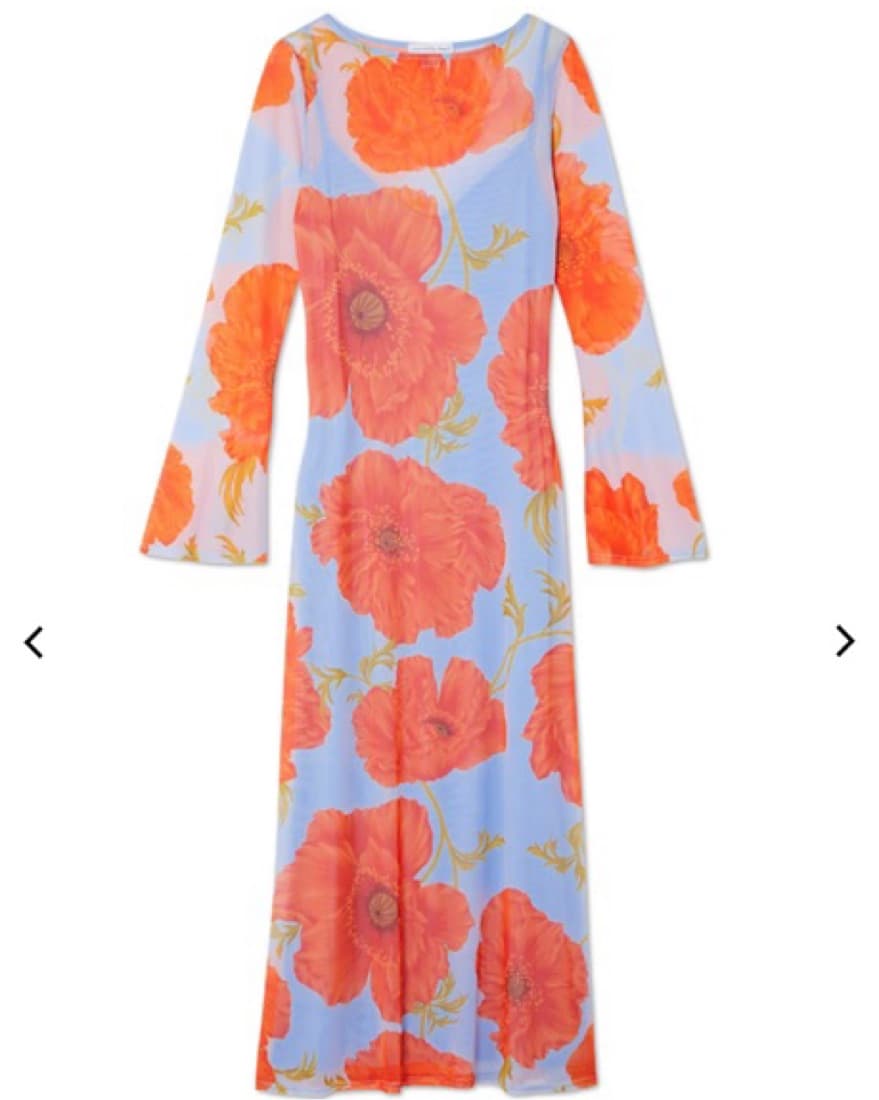 Blue Poppy Aria Mesh Dress - Image 1