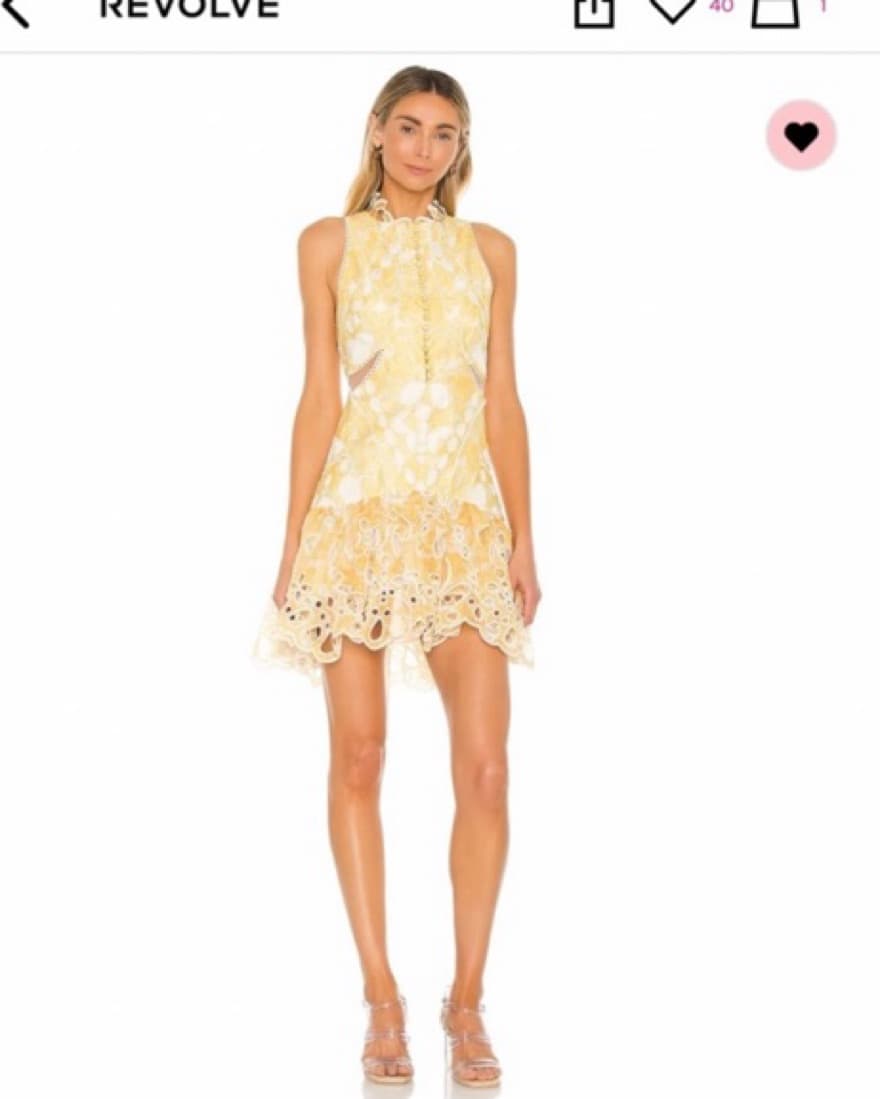 Raissa Garden Party Dress (Revolve) - Image 1