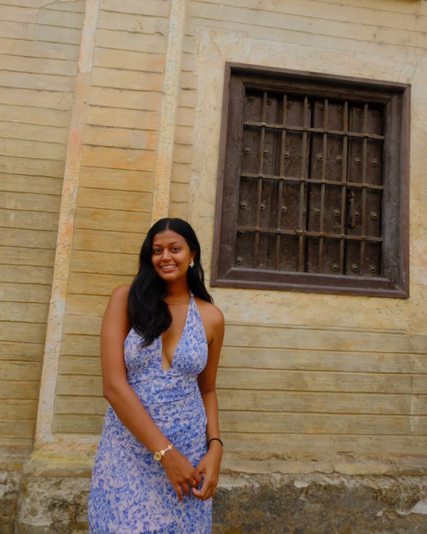Blue & White Dress - Image 1