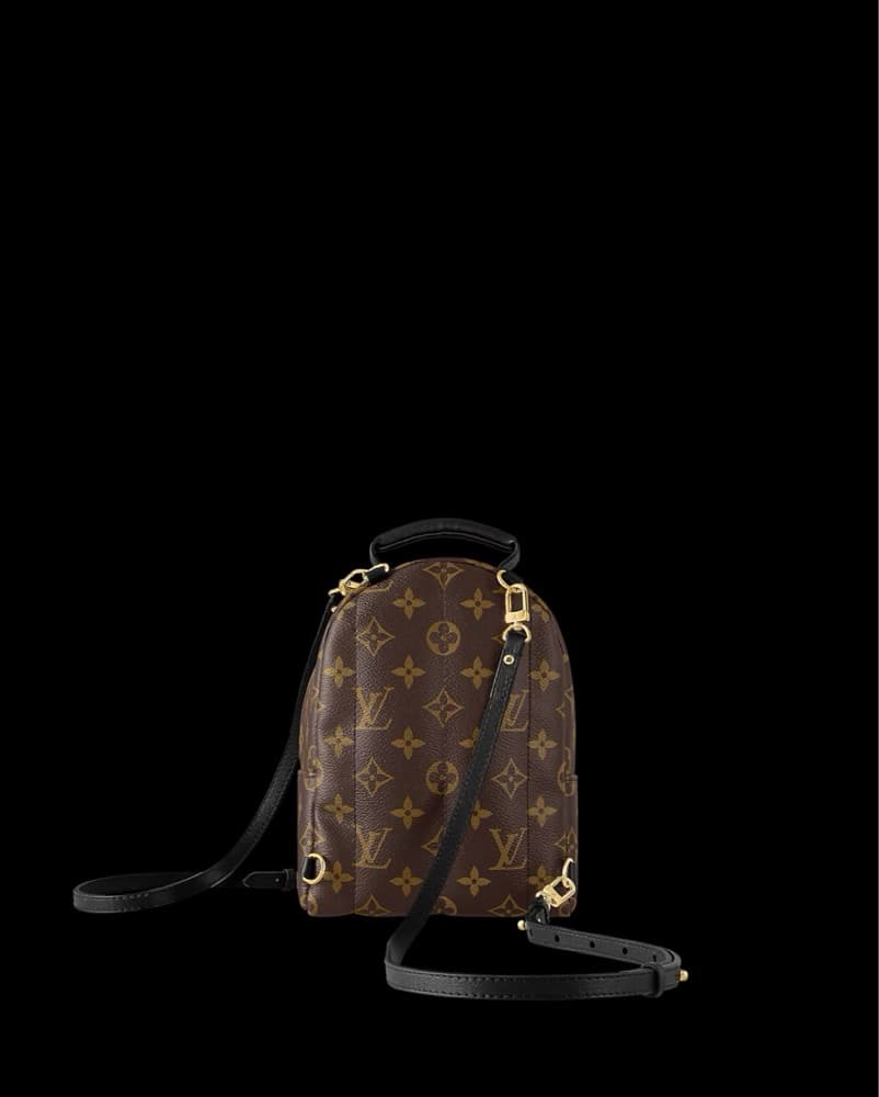 Louis Vuitton Palm Springs Mini  - Image 6