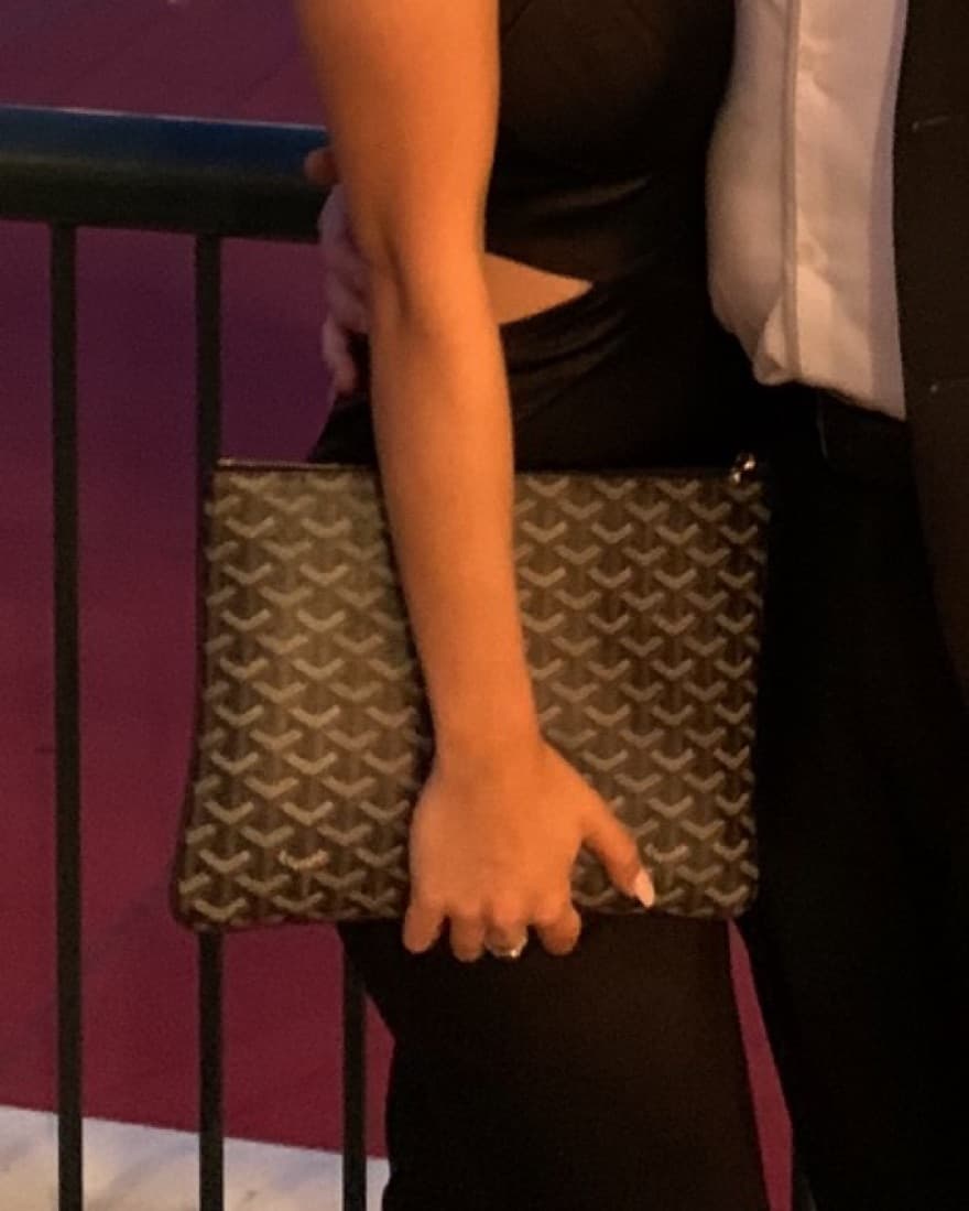Goyard Goyardine Pochette - Image 2