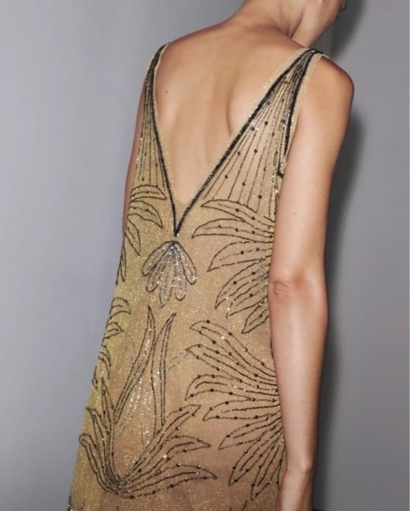 ZW Collection Embroidered Tulle Dress - Image 3