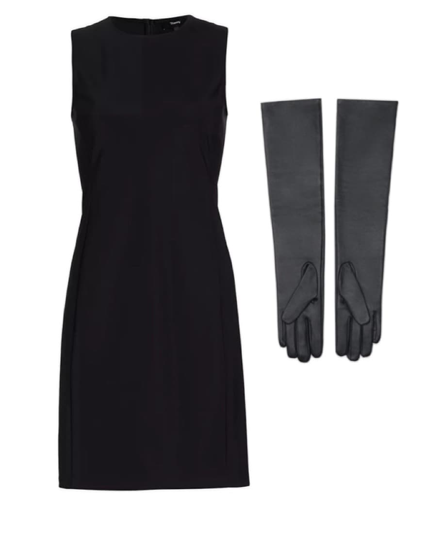 Theory Dress + Long Leath Gloves - Image 2