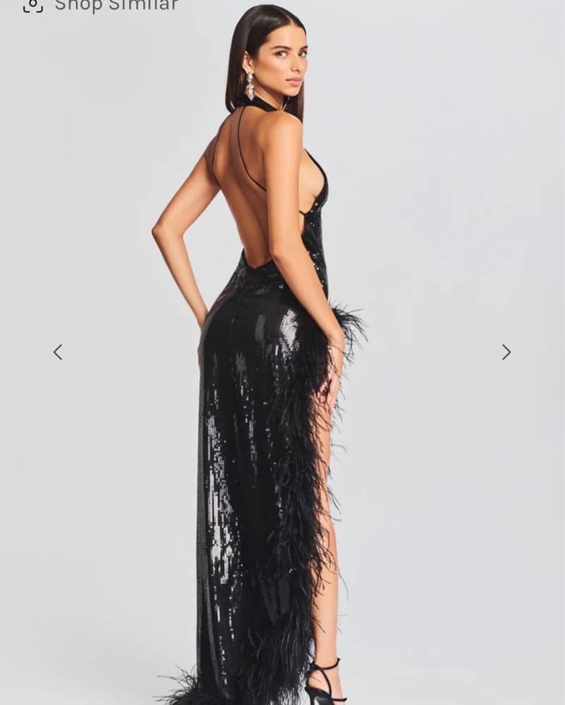 Vixen Sequin Feather Dress  - Image 4