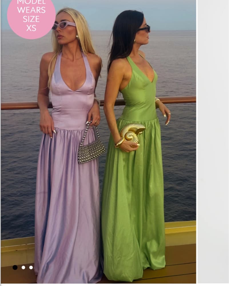 Drop Waist gown Show Me Your Mumu  - Image 4