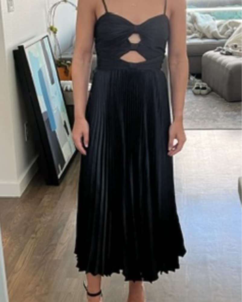 Amur Pleated Cutout Dress - Image 2