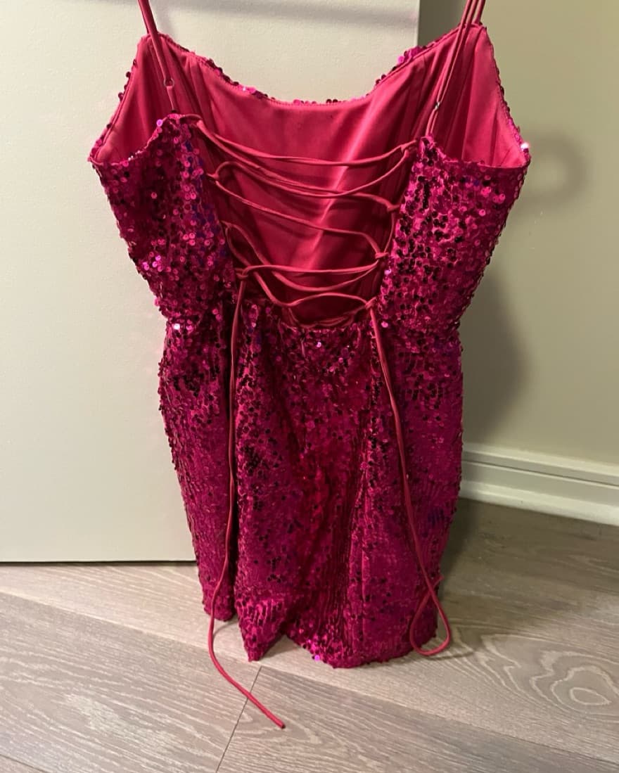 Pink Sequin Corset Dress - Image 3