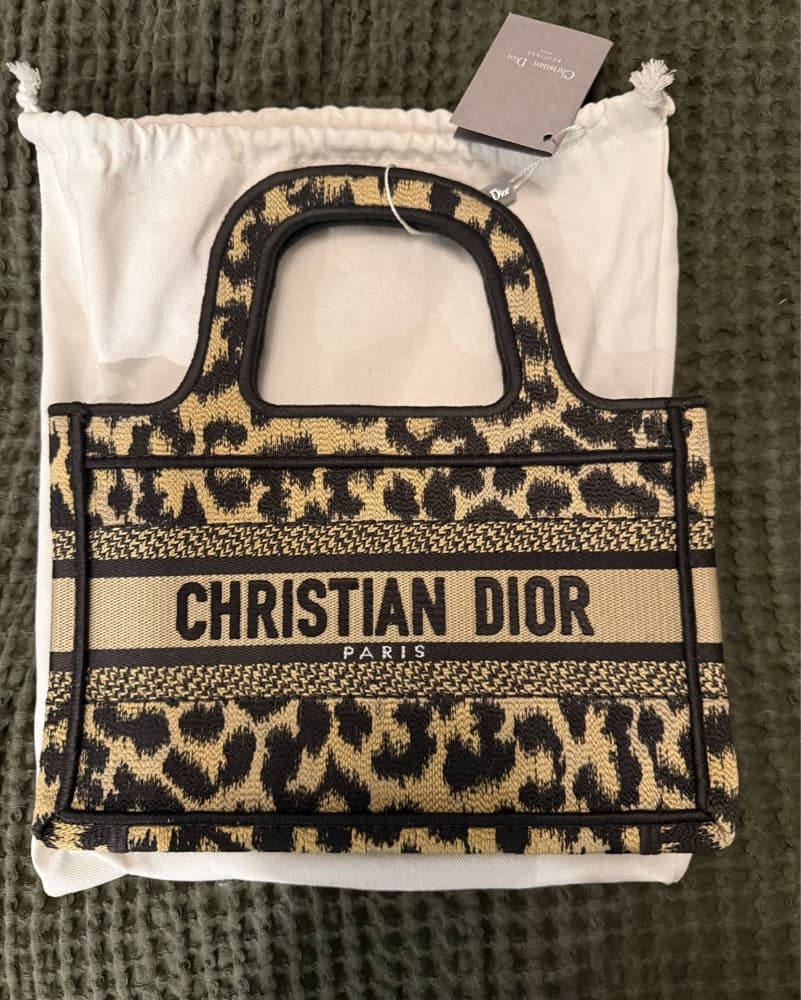 Dior Mini Tote - Image 1