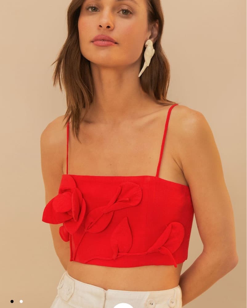 Farm Rio Red Crop Top - Image 1